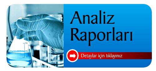 Analiz Raporları